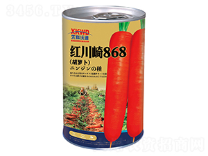 �촨��868���ޣ�-���ܲ�����-�����