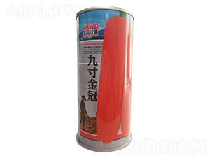 �Ŵ��ڣ��ޣ�-���ܲ�����-�����