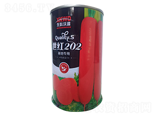 ����202���ޣ�-���ܲ�����-�����