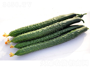 DY10-12-�ƹ�����-���ũҵ