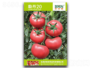 �۵�20-��������-����ũ
