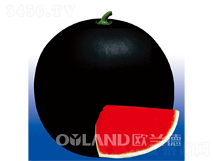 ����ũ��30-��������-ŷ����