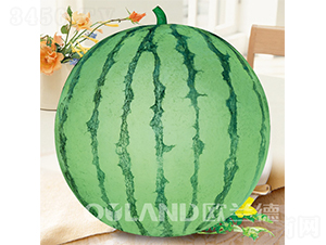 ���84-24-��������-ŷ����