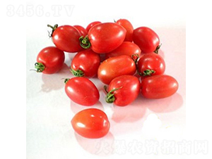 ������1136-ӣ�ҷ�������-ŷ����