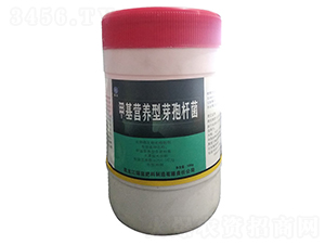 500g�׻�Ӫ����ѿ�߸˾�-����