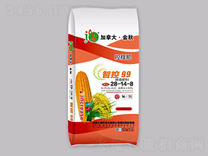 �ǿ�99�������28-14-8-���ô󡤽���-�������