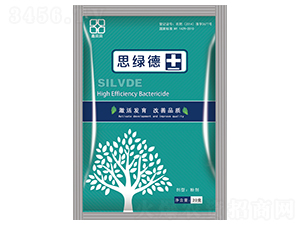 20g˼�̵�-������