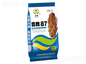 ��ʤ87-��������-������ҵ