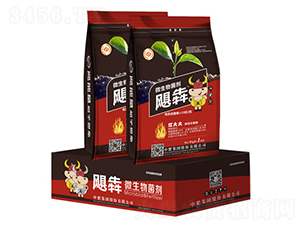 ΢�������-쫠�-�з�