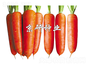 ����208-���ܲ�����-����