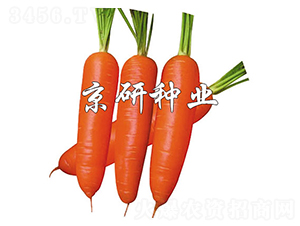 ����228-���ܲ�����-����