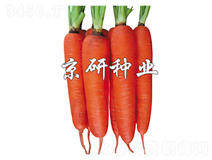 ����238-���ܲ�����-����