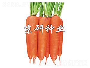 ����258-���ܲ�����-����