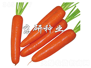 ����268-���ܲ�����-����