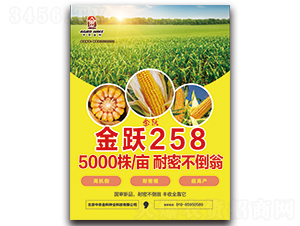 ��Ծ258-��������-��ũ���