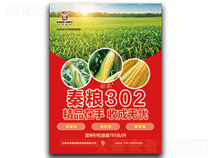 ����302-��������-��ũ���