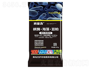 ̼ø�����塤���ɣ�40kg��-��Ķ��-����