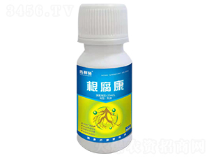 ������-����ʩ-�϶��