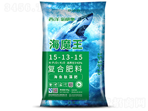���Ϸ���15-13-15-��ħ��-ŵ��ʩ