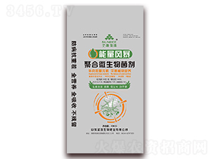 �ۺ�΢�������-�����籩-ʥ������