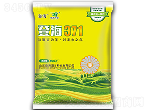 �Ǻ�371-��������-�Ǻ�����