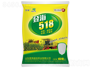 �Ǻ�518-��������-�Ǻ�����