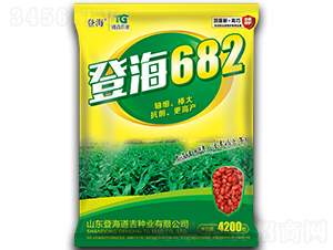 �Ǻ�682-��������-�Ǻ�����