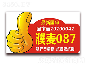 ���087-С������-������
