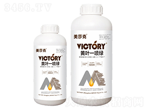 500ml��Ҷһ����-��ɯ��-ά������