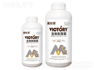 500ml����̼���-Ī����-ά������