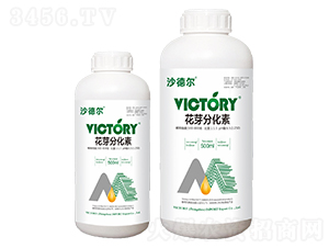 500ml��ѿ�ֻ���-ɳ�¶�-ά������