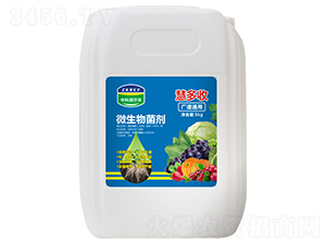 5kg΢�������-�۶���-�п������