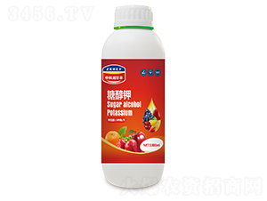 �Ǵ���-�п������