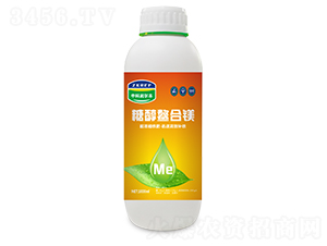 �Ǵ�����þ-�п������