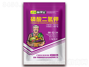 400g��������00-52-34-�ڵñ�����