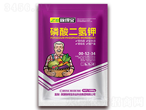 1000g��������00-52-34-�ڵñ�����