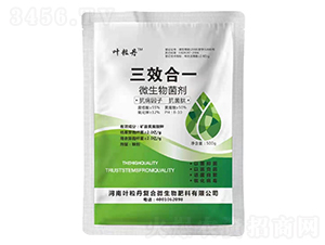 500g΢�������-��Ч��һ-Ҷ����