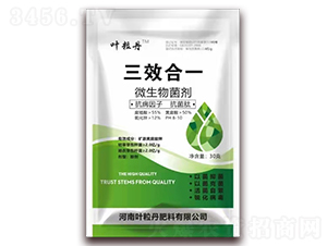 30g΢�������-��Ч��һ-Ҷ����