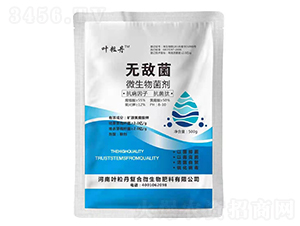 500g΢�������-�޵о�-Ҷ����