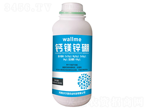 500ml��þп��-�����ֶ���