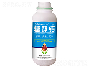 500ml�Ǵ���-�����ֶ���