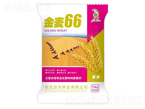 ����66-С������-������ҵ