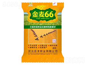����66��20kg��-С������-������ҵ