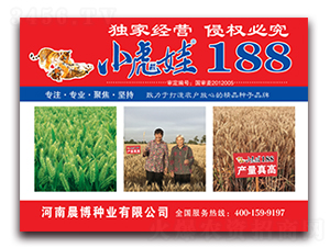 С����188-С������-������ҵ
