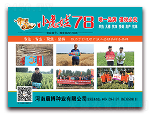 С����78-С������-������ҵ