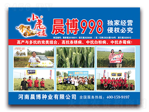 С���޳���998-С������-������ҵ