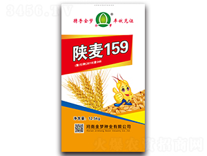 ����159-С������-������ҵ