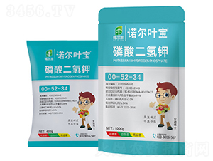 ��������00-52-34-ŵ��Ҷ��-ŵ����