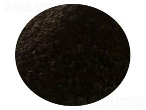 �ɼ���-�������