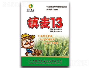 ����13-С������-��ũҵ